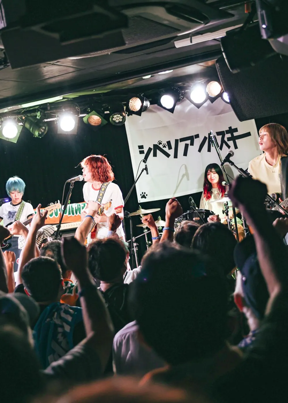 シベリアンハスキー インタビュー